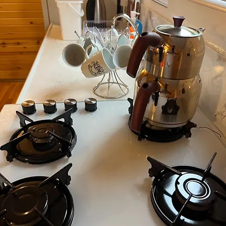 公寓 Treehouse With Garden In The Heart Of Antalya