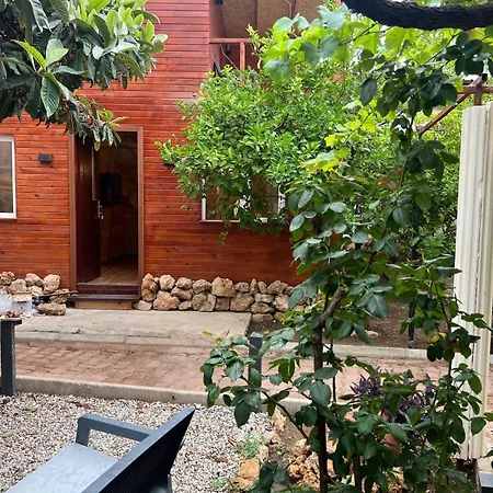 Treehouse With Garden In The Heart Of Antalya Apartment Eskiomerler