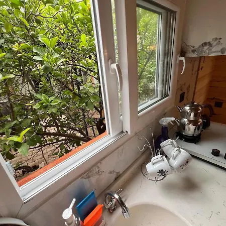 Treehouse With Garden In The Heart Of Antalya