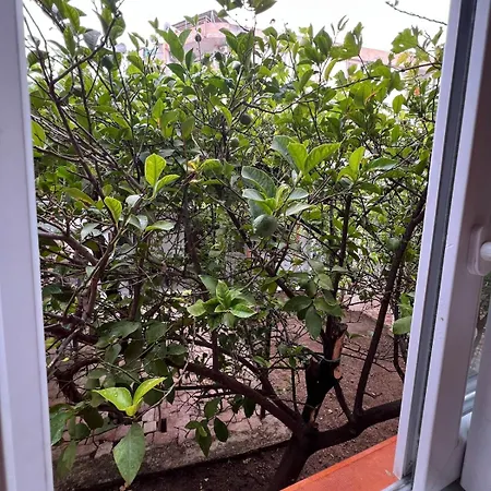 Апартаменты Treehouse With Garden In The Heart Of Antalya