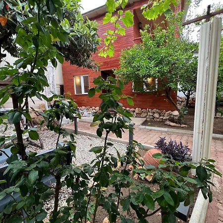 Treehouse With Garden In The Heart Of Antalya * Eskiomerler