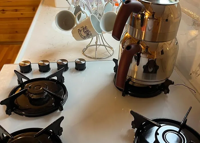 公寓 Treehouse With Garden In The Heart Of Antalya