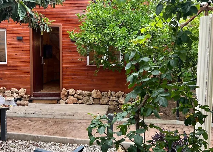Treehouse With Garden In The Heart Of Antalya 公寓 Eskiomerler