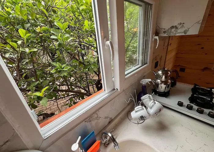 Treehouse With Garden In The Heart Of Antalya