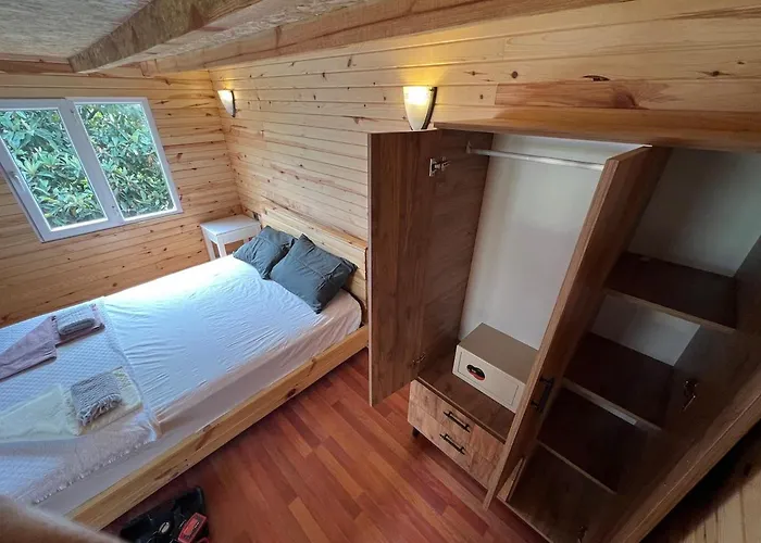 公寓 Treehouse With Garden In The Heart Of Antalya Eskiomerler