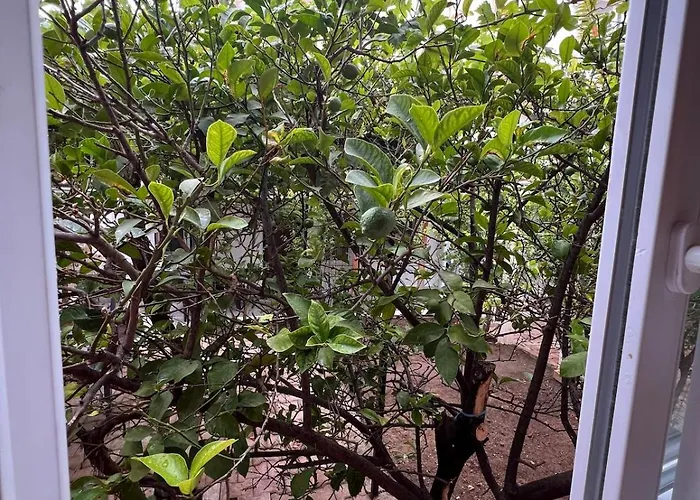 公寓 Treehouse With Garden In The Heart Of Antalya